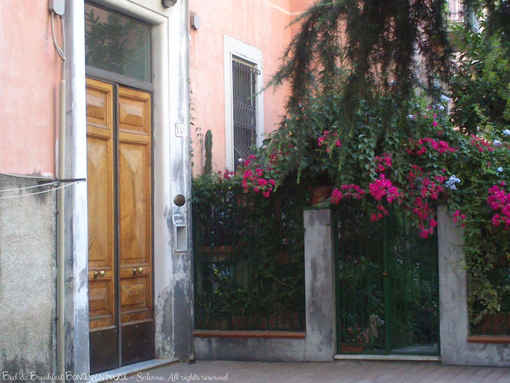 Bed & Breakfast Bonaventura